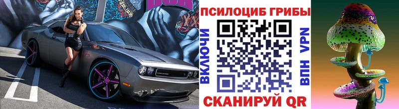 Купить где  Шуя  Псилоцибиновые грибы мицелий 